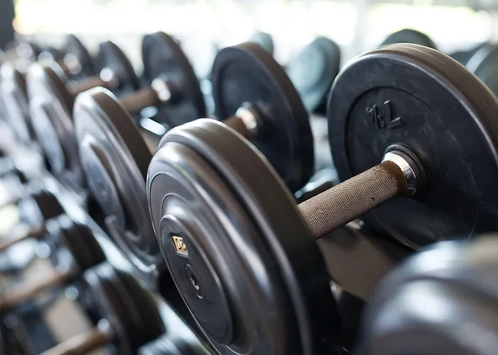 Hotell Indigo - Palace Noordeinde By Ihg 4*