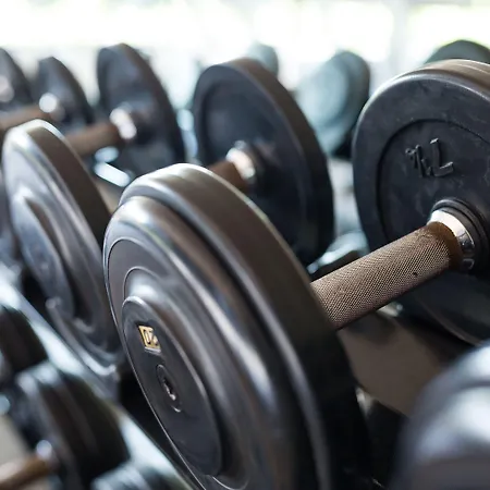 Hotel Indigo - Palace Noordeinde By Ihg 4*